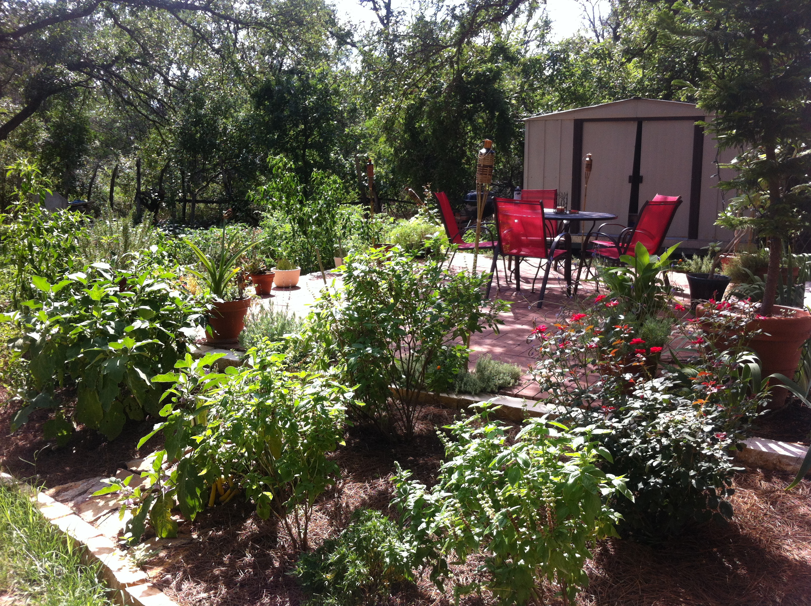 How to Create an Edible Landscape - Part Two: Clearing